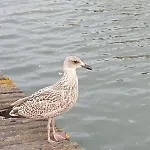 700 Metres De La Lägenhet *