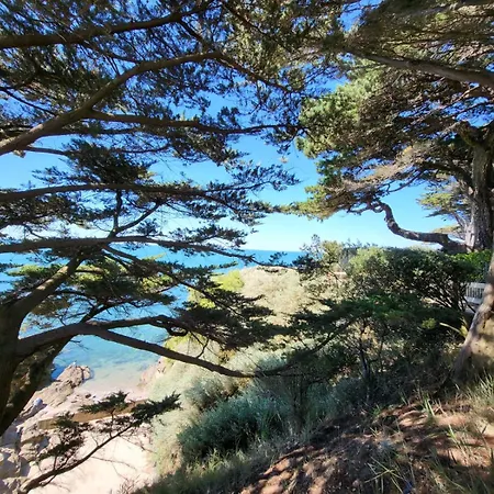 700 Metres De La 아파트 *